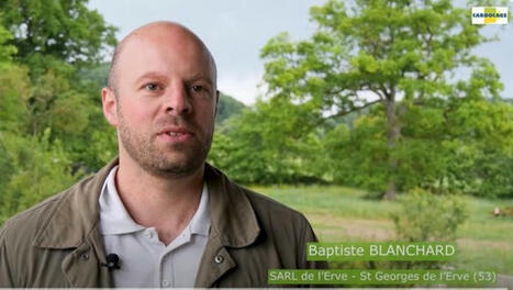 Il valorise le carbone stocké par ses 45 km de haies - Agri mutuel | Agriculture en Pays de la Loire | Scoop.it