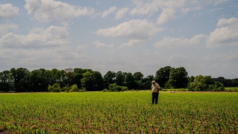 The rising cost of fertilizer and fuel prices is pushing some farmers to the brink - NPR | Operation Deimos | Scoop.it