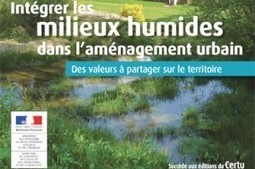 Intégrer les milieux humides dans l’aménagement urbain   | Biodiversité | Scoop.it