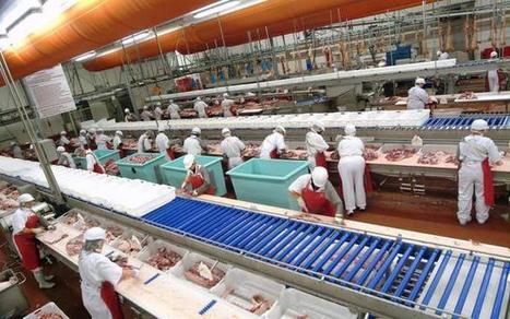 Sicavyl fusionne avec le groupe Sicarev | La Gazette des abattoirs | Scoop.it