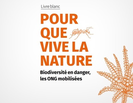 Pour que vive la nature : le guide pour agir de 14 ONG | Insect Archive | Scoop.it