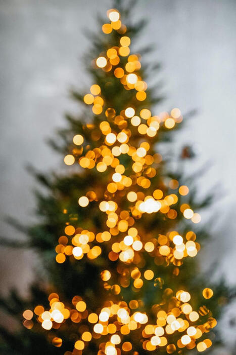 Swampscott Sets Christmas Tree Pickup Date, Shares Post-Holiday Disposal Guidelines &ndash; | La revue de presse CDT | Scoop.it