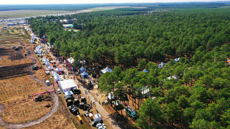 Forêt-bois - Rayonnement international pour Forexpo 2025 | Landes | Scoop.it