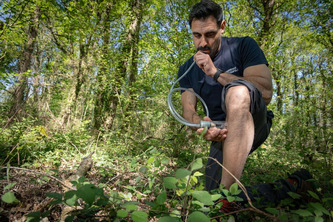 Le retour des moustiques&nbsp;: faut-il (d&eacute;j&agrave;) tirer la sonnette d&rsquo;alarme&nbsp;? | Nouvelle-Aquitaine | Scoop.it