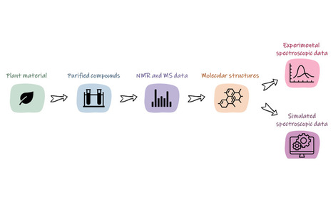 ICP Science - Structural elucidation of the main coloured compounds of Justicia spicigera based on experimental and computational electronic features | Infos Lab' juin 2025 | Scoop.it