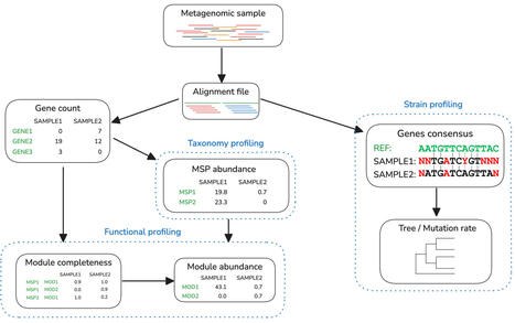 Accurate profiling of microbial communities for shotgun metagenomic sequencing with Meteor2 | Mbm | RMH | Scoop.it
