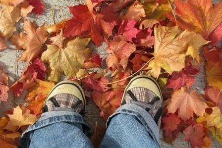 Teachable Moments in Spanish: Fall Colors | Learn Spanish | Scoop.it