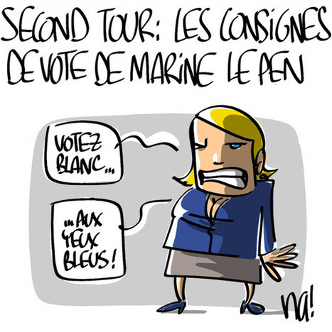 Dessin de presse - second tour des régionales, les consignes de Marine Le Pen | Dessins de Presse | Scoop.it