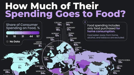 CONSUMPTION: How much people spend on food, by country | ALIMENTATIONS & CONSOMMATIONS | Scoop.it
