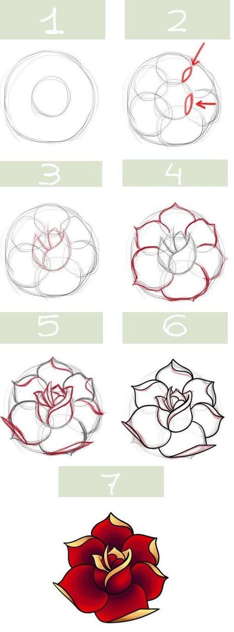 Rose Drawing Reference Guide | Drawing References and Resources | Scoop.it