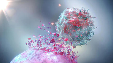 Targeting Interleukin-15 Could Reawaken Dormant NK Cells in Tumors | Virology News | Scoop.it