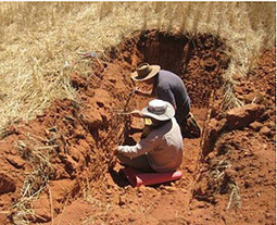 Nature's Way: Using Ants and Termites to Increase Crop Yields | YOUR FOOD, YOUR ENVIRONMENT, YOUR HEALTH: #Biotech #GMOs #Pesticides #Chemicals #FactoryFarms #CAFOs #BigFood | Scoop.it