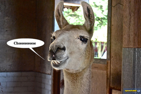 Speechable - How Many Words Are Your Pictures Worth? - Make Your Own Speech Bubbles | Digital Delights - Images & Design | Scoop.it