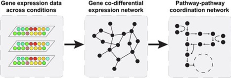 Uncovering coordinated pathway interactions through gene co-differential expression in yeast | nar | RMH | Scoop.it