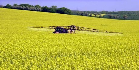 L'Etat devra indemniser un agriculteur exposé à des substances toxiques | Chronique des Droits de l'Homme | Scoop.it