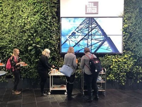 Uusi tutkimus: huonekasvit eivät paranna sisäilman laatua | 1Uutiset - Lukemisen tähden | Scoop.it