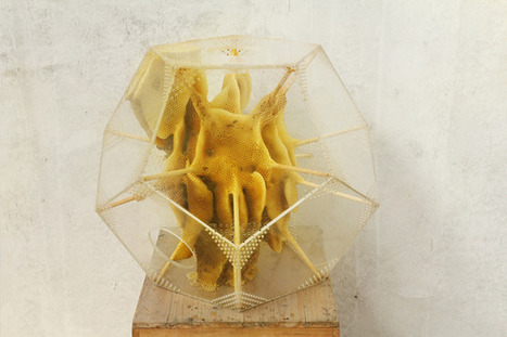 Ren Ri’s Beeswax Sculptures - interview | Digital #MediaArt(s) Numérique(s) | Scoop.it