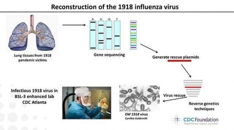 Ask a CDC Scientist: Dr. Terrence Tumpey and the Reconstruction of the 1918 Pandemic Virus | Pandemic Influenza (Flu) | CDC | Virology News | Scoop.it