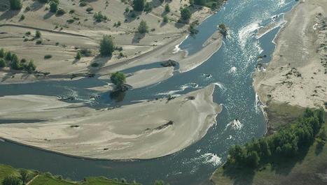 Au coeur des méandres de la rivière Allier | Biodiversité | Scoop.it