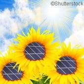 [innovation] Transformer l'énergie: un projet de panneaux solaires flexibles vient d'être lancé | Build Green, pour un habitat écologique | Scoop.it