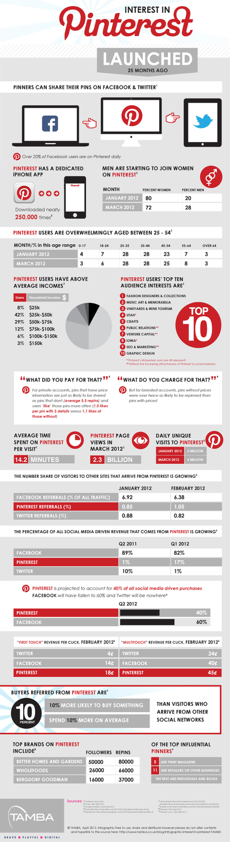 Interest Stats in Pinterest Infographic | Social Media Resources & e-learning | Scoop.it