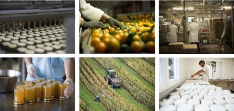 Le panorama des industries agroalimentaires 2016 | Alim'agri | Le Fil @gricole | Scoop.it