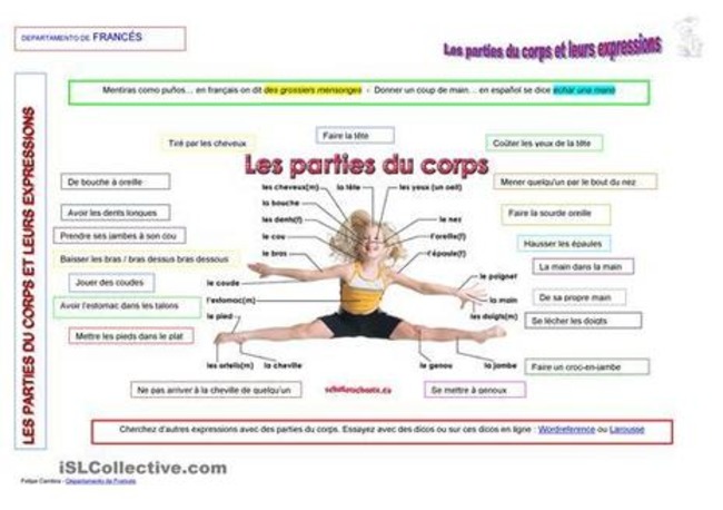 Les parties du corps et leurs expressions | POURQUOI PAS... EN FRAN&Ccedil;AIS ? | Scoop.it