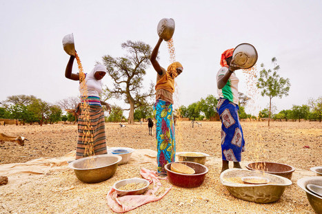 Le PAM alarmé par les chiffres de la faim au Sahel alors que le Covid-19 se propage | Questions de développement ... | Scoop.it