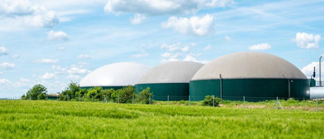 Quand le tri &agrave; la source des biod&eacute;chets produit une &eacute;nergie verte locale - Construction21 | Pour innover en agriculture | Scoop.it