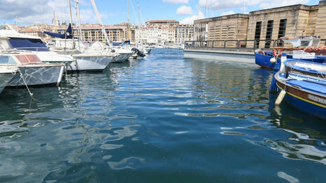 Rejet d'eaux sales dans le Vieux port : la métropole se gourre dans ses calculs | Marseille, la revue de presse | Scoop.it