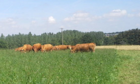 Comment concilier éthique, agriculture et agroalimentaire ? - CGAER | Pour innover en agriculture | Scoop.it