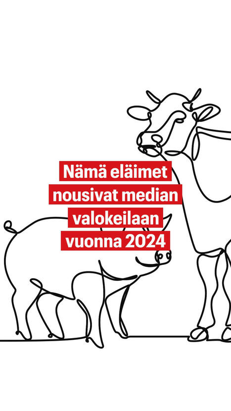 Tässä on vuoden 2024 suurimmat eläinuutiset | 1Uutiset - Lukemisen tähden | Scoop.it