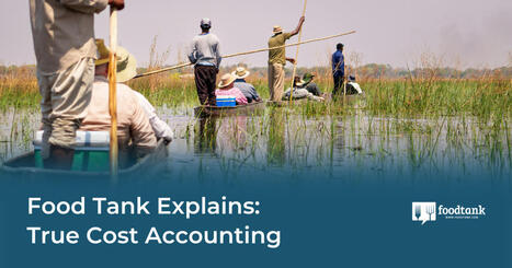 FOOD SYSTEMS: True Cost Accounting &ndash; | CIHEAM Press Review | Scoop.it