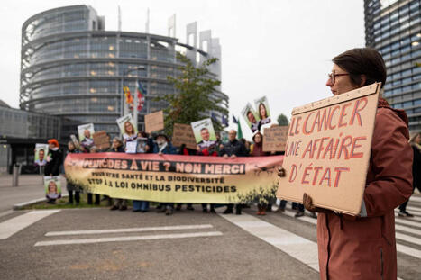L&rsquo;Omnibus&nbsp;X, cheval de Troie des &laquo;&nbsp;pesticides g&eacute;n&eacute;tiques&nbsp;&raquo; en Europe | EntomoNews | Scoop.it