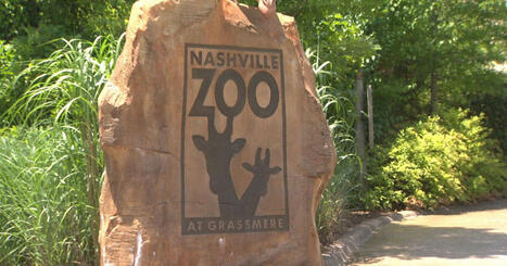 Nashville Zoo fights proposed data center next door | by&nbsp;Patsy Montesinos | NewsChannel5.com | Surfing the Broadband Bit Stream | Scoop.it