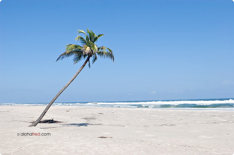 Assinie paradise, Ivory Coast | Life is a beach | Scoop.it