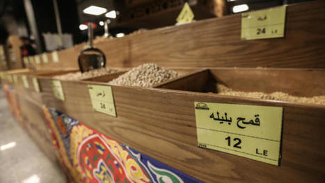 WORLD FOOD prices hit record high in 2022 | CIHEAM Press Review | Scoop.it