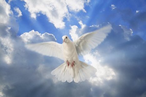 "Un mensonge qui tend à la paix est préférable à une vérité qui cause une sédition." | Citations Proverbes | Scoop.it