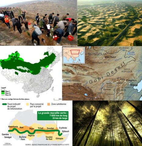 La Chine devient un poumon  vert de la planète | Koter Info - La Gazette de LLN-WSL-UCL | Scoop.it