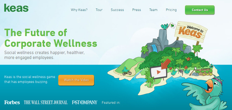 Keas CEO on Employee Wellness and Social Games | GAFAMS, STARTUPS & INNOVATION IN HEALTHCARE by PHARMAGEEK | Scoop.it