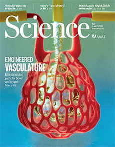 Organ bioprinting gets a breath of fresh air | Amazing Science | Scoop.it