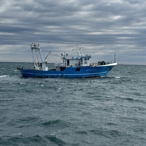 &nbsp;M&Eacute;DITERRAN&Eacute;E : La P&Ecirc;CHE traditionnelle contrainte par les nouveaux usages du monde | CIHEAM Press Review | Scoop.it