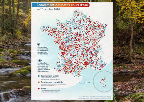 S&eacute;cheresse : la moiti&eacute; des petits cours d'eau &agrave; sec et la situation ne s'am&eacute;liore pas, selon l'OFB | veille th&eacute;matique | Scoop.it