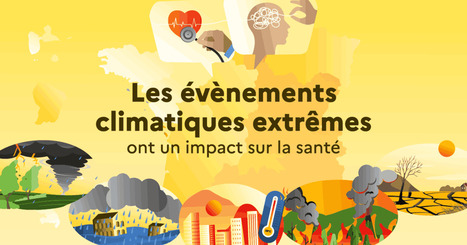 Les cons&eacute;quences des catastrophes naturelles sur la sant&eacute; des Fran&ccedil;ais - notre-environnement | Biodiversit&eacute; | Scoop.it