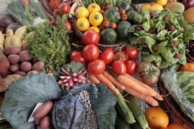 &Eacute;lever des insectes qui tuent les parasites : un p&ocirc;le d'intelligence verte en Aquitaine | Vari&eacute;t&eacute;s entomologiques | Scoop.it