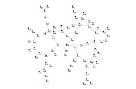 T N T &mdash; The Network Thinkers: Infrastructure Resilience | Building Networks | Scoop.it