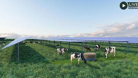 [Vid&eacute;o] Agrivolta&iuml;sme, une opportunit&eacute; pour l&rsquo;&eacute;levage : retour sur le plateau du SIA | Elevage et environnement | Scoop.it