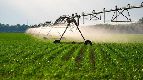 Pour mieux &eacute;conomiser l'eau, satellites et capteurs dans les champs - Agri mutuel | Pour innover en agriculture | Scoop.it