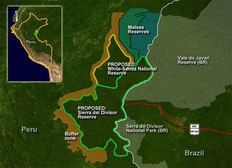 Rebranded as the Rainforest Trust, green group launches push to protect 6M acres of Amazon rainforest | RAINFOREST EXPLORER | Scoop.it