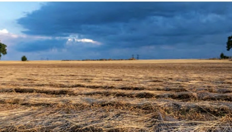 Matériaux biosourcés : l’Île-de-France fait le premier pas vers une bioéconomie | Veille "Villes de demain" | Scoop.it